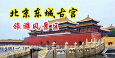国产视频男插男浪叫中国北京-东城古宫旅游风景区